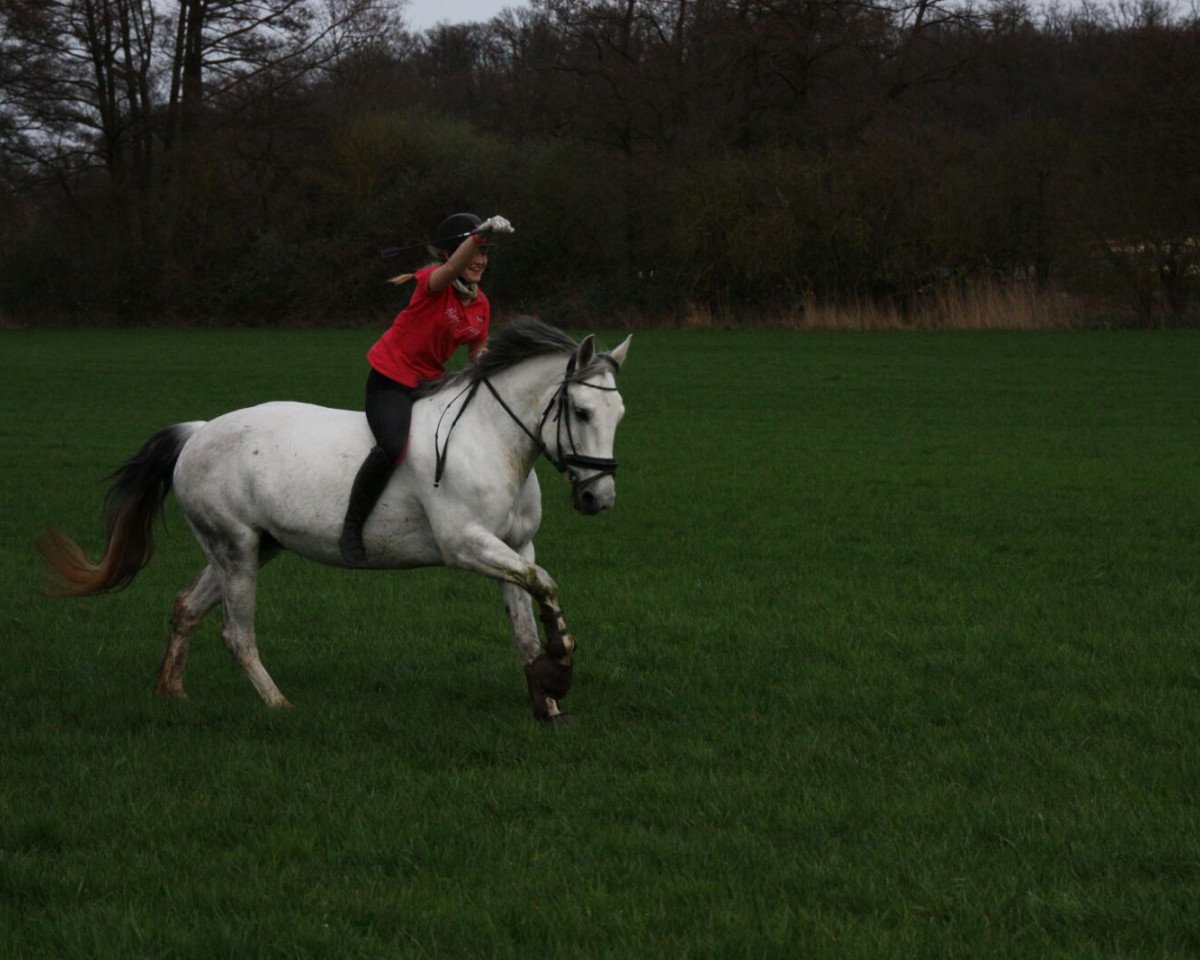broodmare Dunja 980 (unknown, 2003)