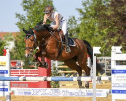 jumper Cyrano's Son (Austrian Warmblood, 2006, from Cyrano de Bergerac)