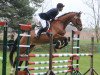 broodmare Zieta 5 (German Sport Horse, 2009, from Chambertin)