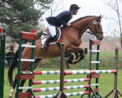 broodmare Zieta 5 (German Sport Horse, 2009, from Chambertin)