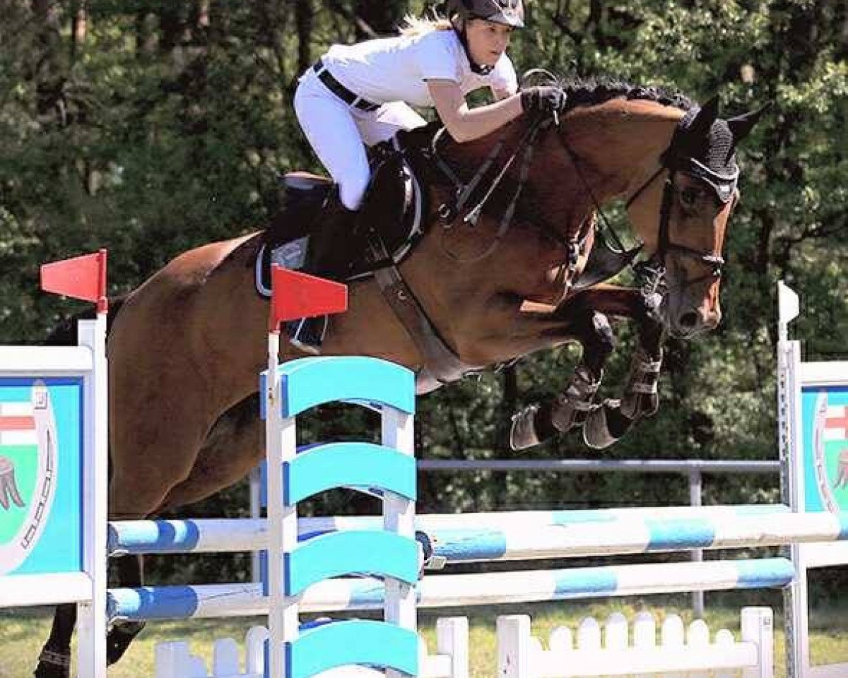 Springpferd Annie get your gun 2 (Ungarisches Warmblut, 2007, von Quidamo)