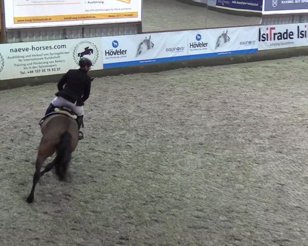 Nordic Jumping events 2020