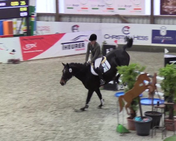 Nordic Jumping events 2020