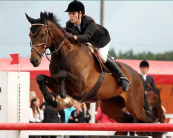 horse Lauries Lucky Luke (Oldenburg, 2004, from Lauries Crusador xx)