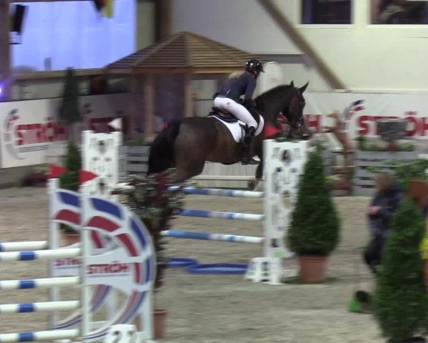 Nordic Jumping events 2020