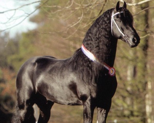 stallion Beart 411 (Friese, 2000, from Jasper 336 P)