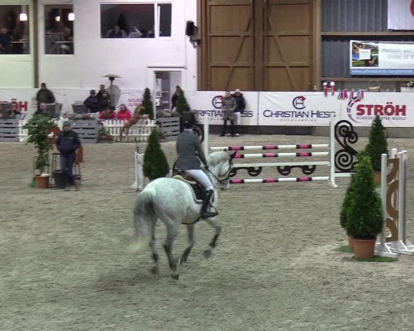 Nordic Jumping events 2020