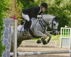 jumper Fantasy 100 (German Riding Pony, 2006)