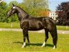 broodmare Vinaya (Danish Warmblood,  , from De Niro)