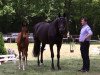 broodmare Baluna B (Hanoverian, 2016, from Bordeaux 28)