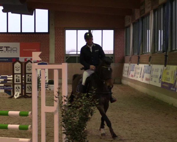 Reitturnier Heiden 2020