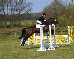 broodmare Rainbow Cloud (Hanoverian, 2006, from Rascalino)