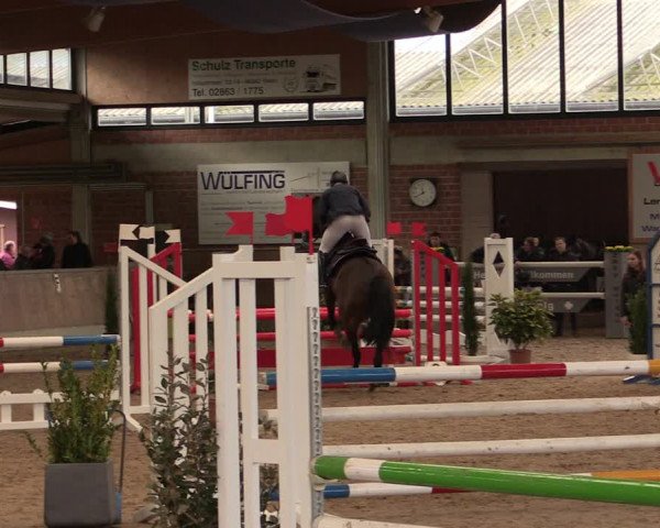 Reitturnier Heiden 2020