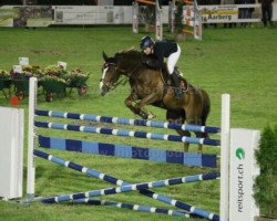 jumper DD For Gilbert (Oldenburg show jumper, 2007, from For Pleasure)