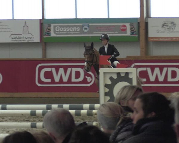 Reitturnier Goch-Asperden 2020