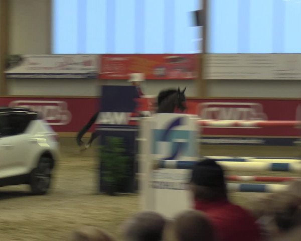 Reitturnier Goch-Asperden 2020