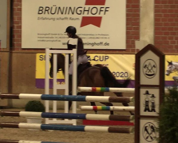 Reitturnier Heiden 2020