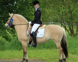 dressage horse Joga vom Ourtal (Fjord Horse, 2008, from Lisjegråen N-92-2877)