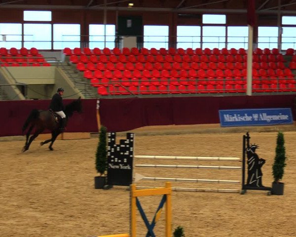 Reitturnier Neustadt/Dosse 2020