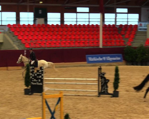 Reitturnier Neustadt/Dosse 2020