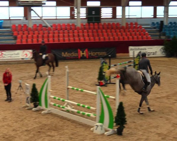 Reitturnier Neustadt/Dosse 2020