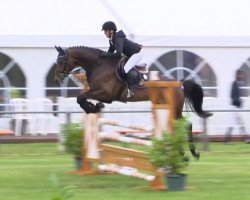 jumper Cleo 208 (Oldenburg show jumper, 2010, from Conthargos)