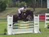 jumper Loa 12 (Oldenburg show jumper, 2010, from Leo von Faelz)