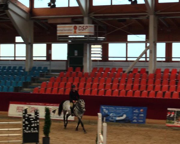 Reitturnier Neustadt/Dosse 2020