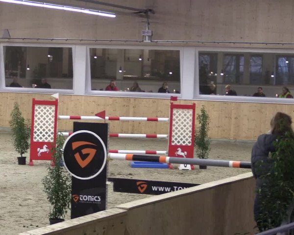 FEI Reitturnier Damme-Neuenwalde (GER) 2020