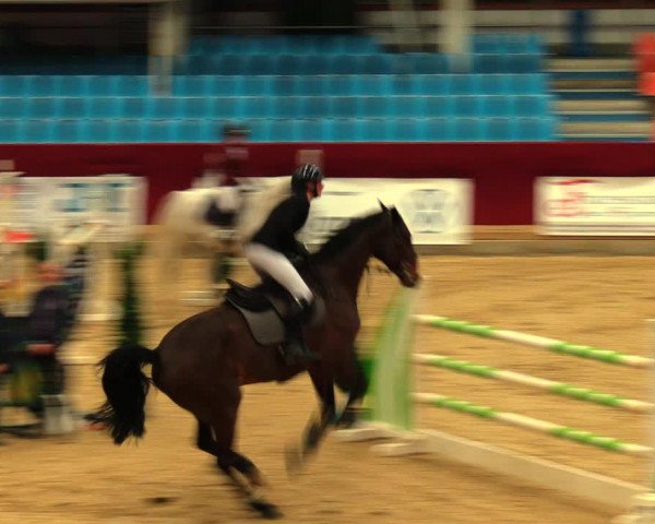 Reitturnier Neustadt/Dosse 2020