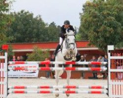 broodmare Bente (KWPN (Royal Dutch Sporthorse), 2006, from Casco 4)