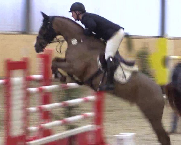 FEI Reitturnier Damme-Neuenwalde (GER) 2020
