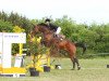 broodmare Capi Jumps High K (Oldenburg show jumper, 2009, from Comme il Faut)