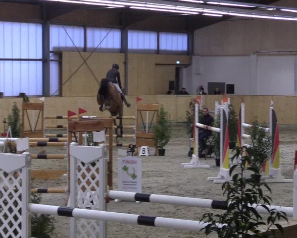 FEI Reitturnier Damme-Neuenwalde (GER) 2020