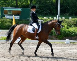 dressage horse Donata (Hanoverian, 2003, from Don Cavallo)