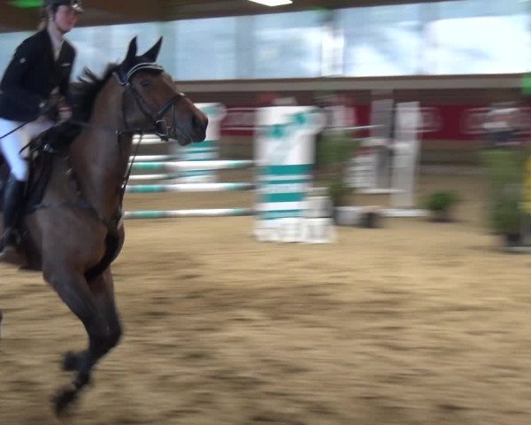 Reitturnier Kaldenkirchen - Gestüt Seehof 2020