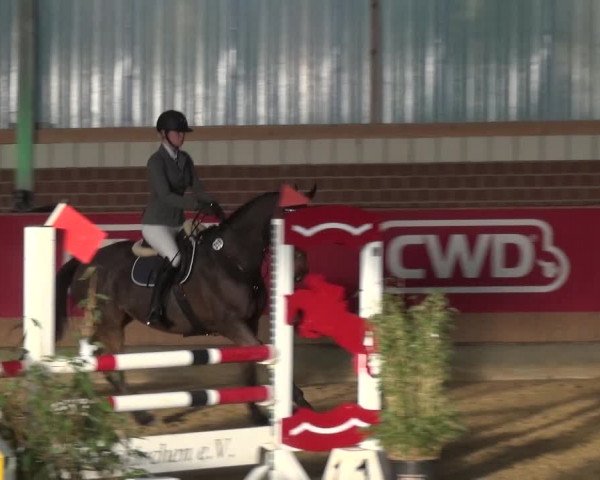 Reitturnier Kaldenkirchen - Gestüt Seehof 2020