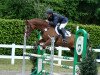 dressage horse Shamy (Oldenburg, 2010, from Super Tyme)