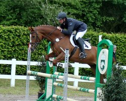 dressage horse Shamy (Oldenburg, 2010, from Super Tyme)