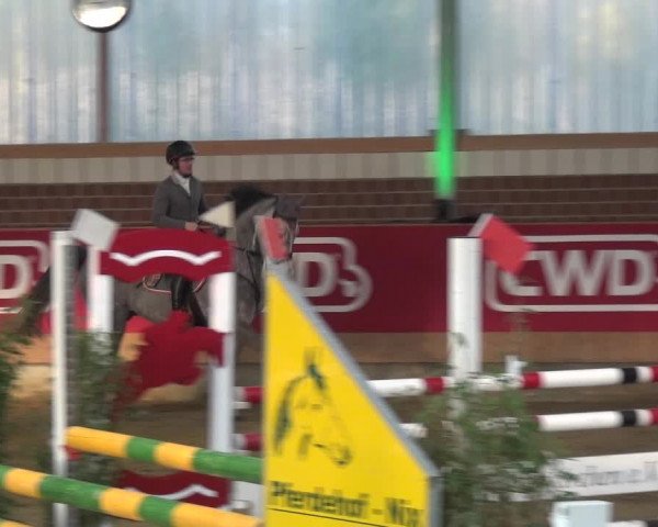 Reitturnier Kaldenkirchen - Gestüt Seehof 2020