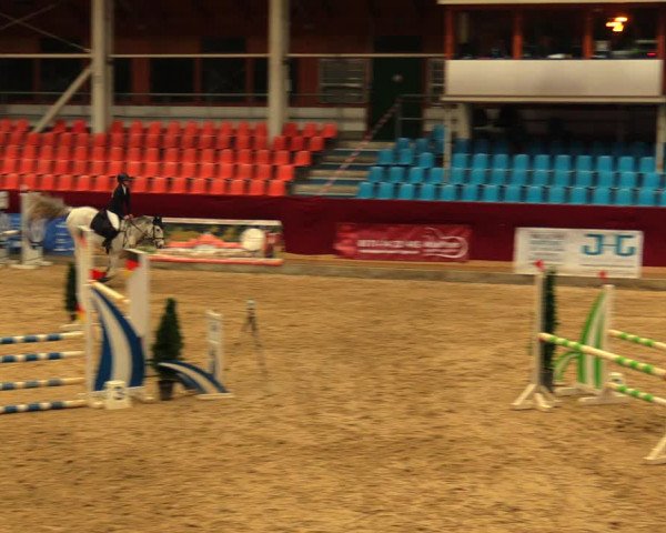Reitturnier Neustadt/Dosse 2020