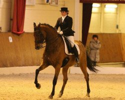 dressage horse Hableur (Westphalian, 2006, from Hogwart)