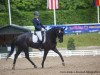 dressage horse Finnigan 10 (Belgian Warmblood, 2008, from Florencio I)