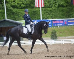 dressage horse Finnigan 10 (Belgian Warmblood, 2008, from Florencio I)