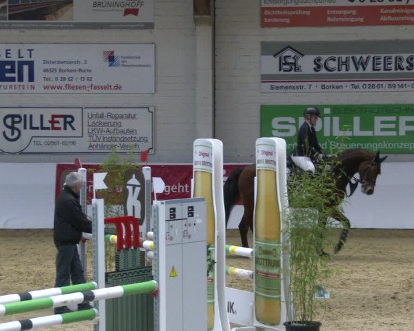 Reitturnier Borken 2020