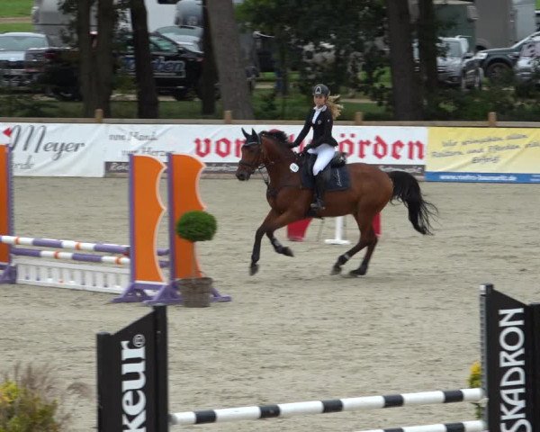 Reitturnier Westergellersen 2021