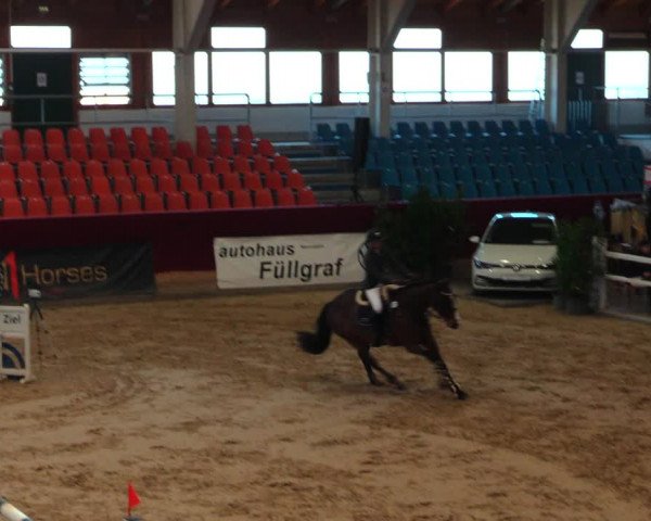 Reitturnier Neustadt/Dosse 2020