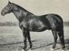 stallion 360 Przedswit VIII-5 (Przedswit, 1931, from 82 Przedświt VIII)