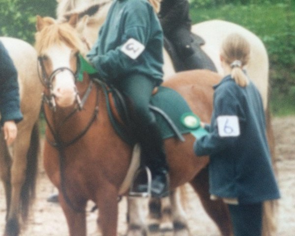 Zuchtstute Tanja (Welsh Pony (Sek.B), 1982, von Fresco)