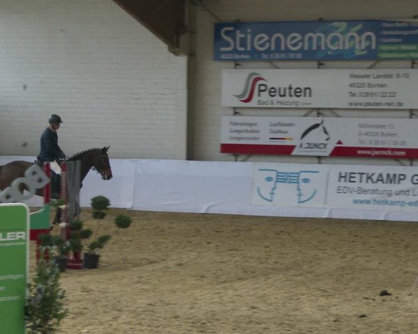 Reitturnier Borken 2020